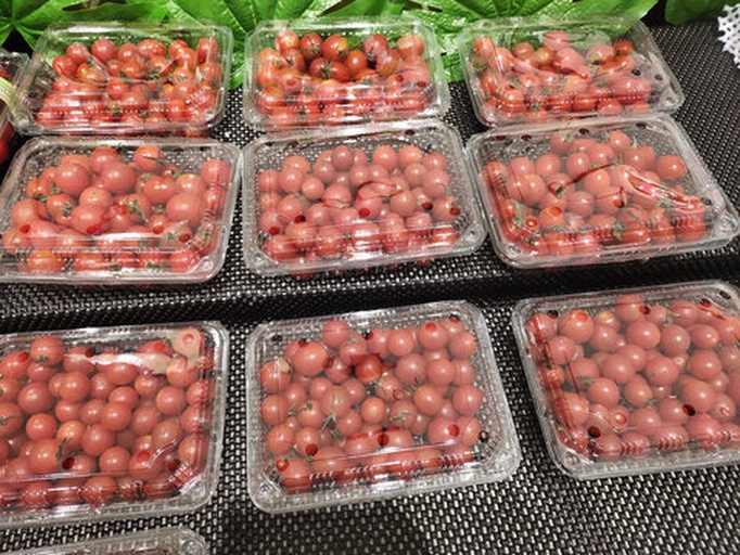 脆甜番茄礼盒与零售场景