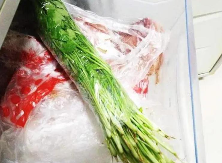 三组不同保存方式的香菜容器:左侧是插在水杯中的整株香菜,中间是纸巾包裹后放入保鲜袋的香菜,右侧是冰格中冷冻的香菜碎块,背景为冰箱内部 香菜保鲜储存方法示意图