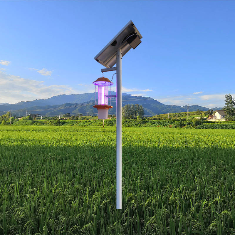 油松林间设置太阳能杀虫灯进行绿色防控