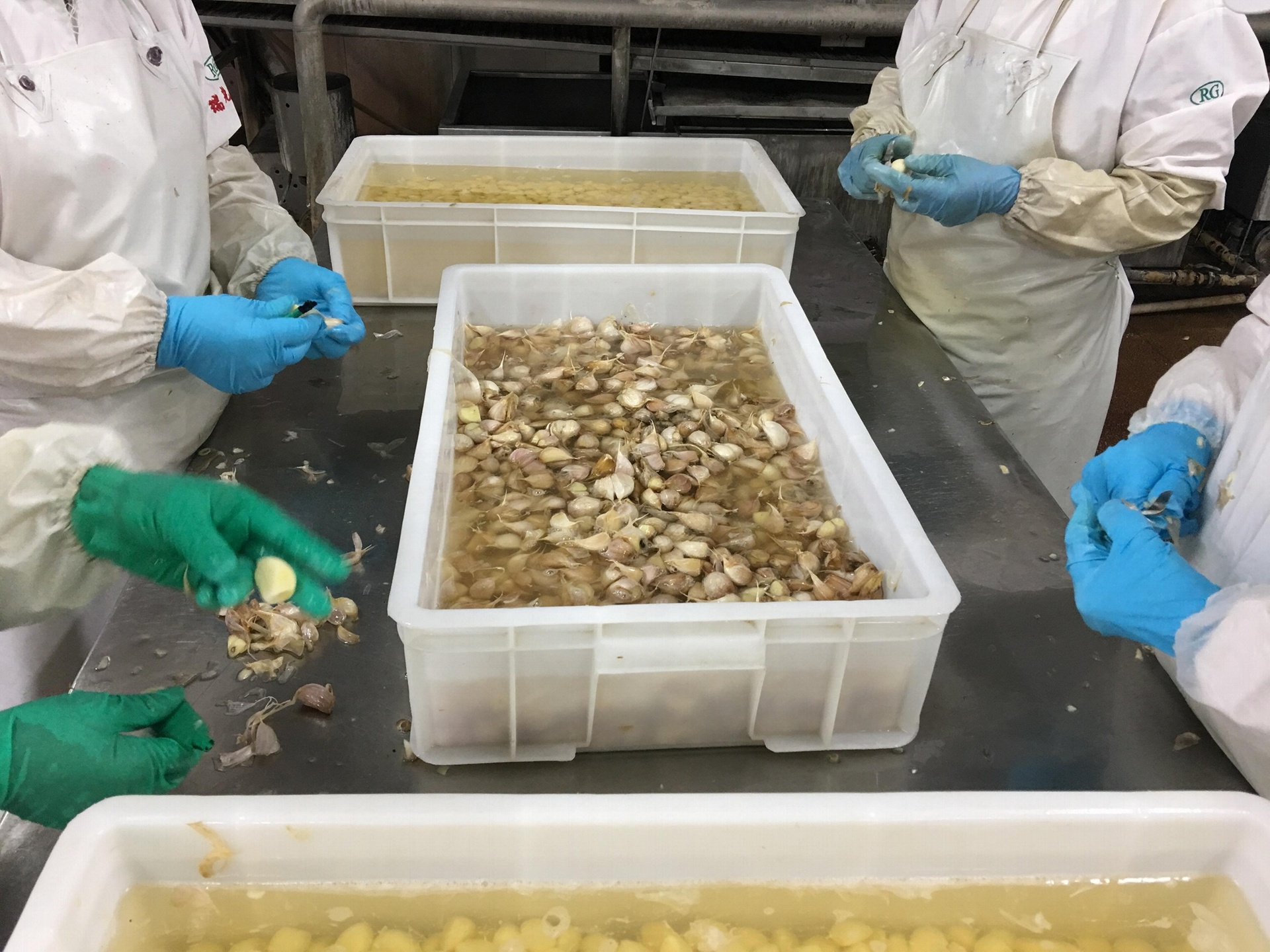 实验室中正在进行大蒜提取物的分离与纯化操作 大蒜提取物的实验室操作