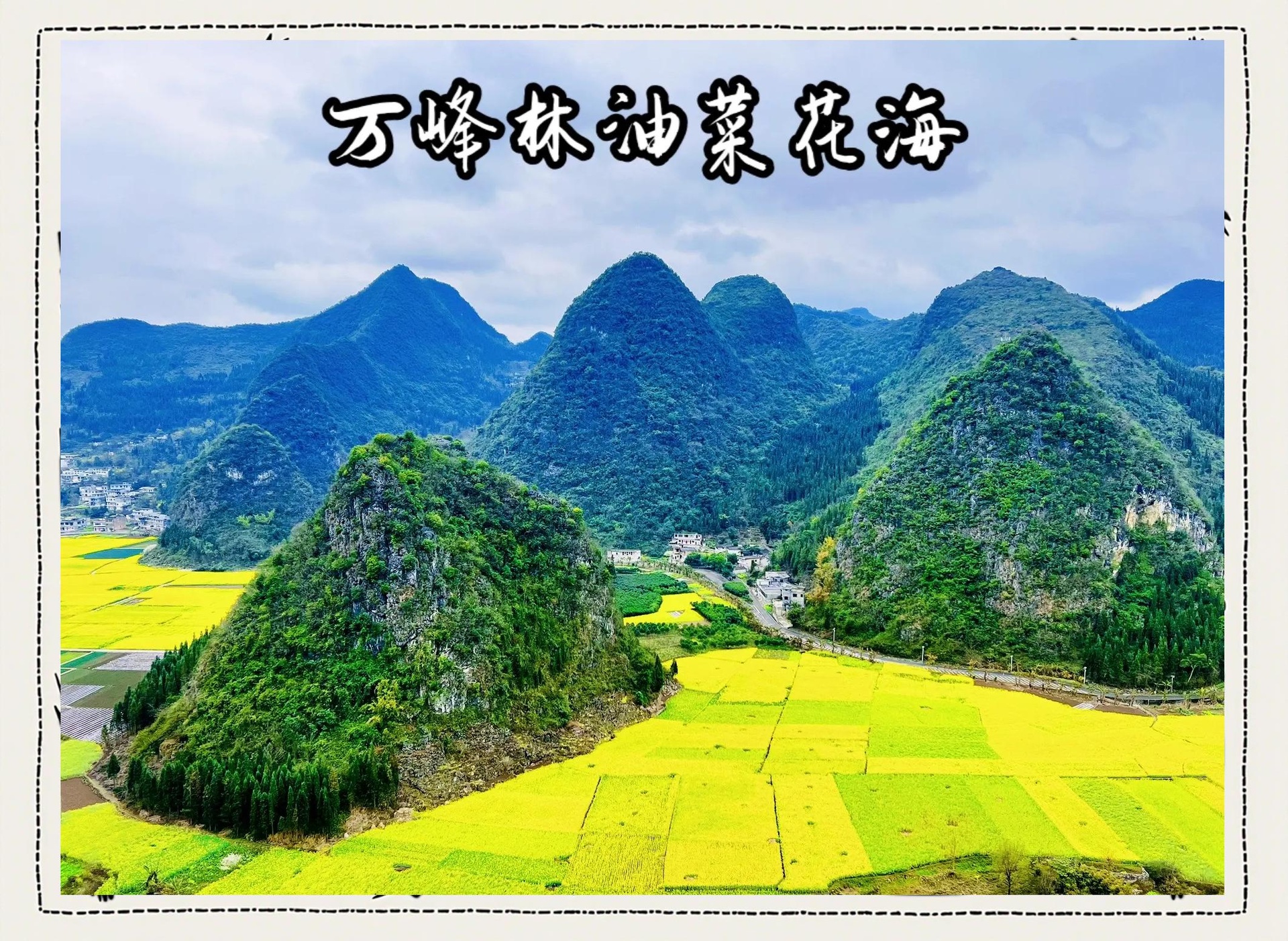 无人机高空俯瞰万峰林核心景区:连片梯田式油菜花田呈金黄色波纹状延展,环绕墨绿色锥形喀斯特山峰;近处有蜿蜒的弯曲乡道与白墙青瓦布依族民居点缀其间;天空澄澈蔚蓝,可见少量白云与低飞的白鹭;画面左下角隐约可见‘万峰林’石刻指示牌 万峰林油菜花海全景航拍