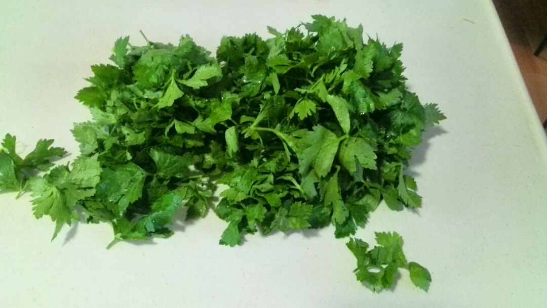 一张高清俯拍图,展示新鲜香菜、小茴香、 parsley 欧芹、紫苏叶、薄荷叶并列摆放,背景为木质砧板,每种香草旁标注中文名称与拉丁学名,叶片清晰可见纹理与色泽差异 香菜与其他常见香草对比图