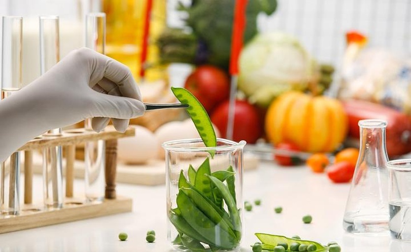 人工授粉操作示意图