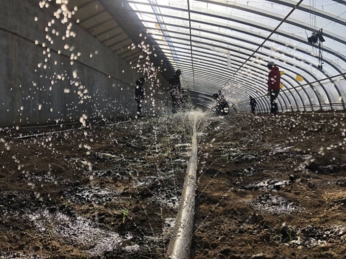 黄淮海夏播区机械化封闭作业实景：大型自走式喷杆喷雾机正在刚播种覆土的玉米田作业，喷头距地高度50 cm，雾滴谱Dv0.5=280 μm，地表无扬尘、无积水