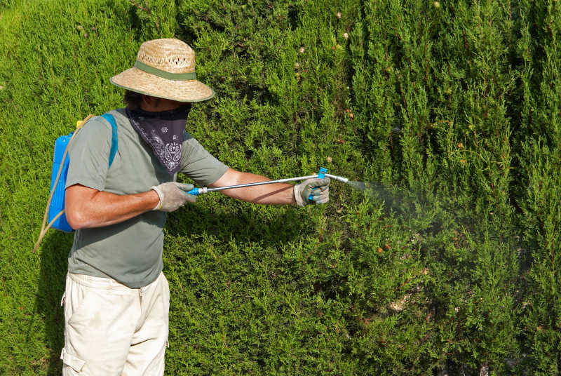 除草剂安全使用防护装备展示,包括手套、口罩、防护服等 除草剂安全使用防护装备展示