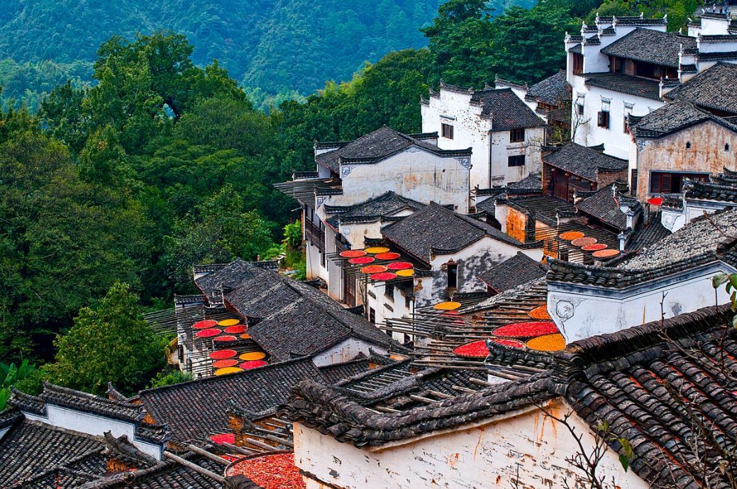 朝鲜族家庭院内晾晒干辣椒实景