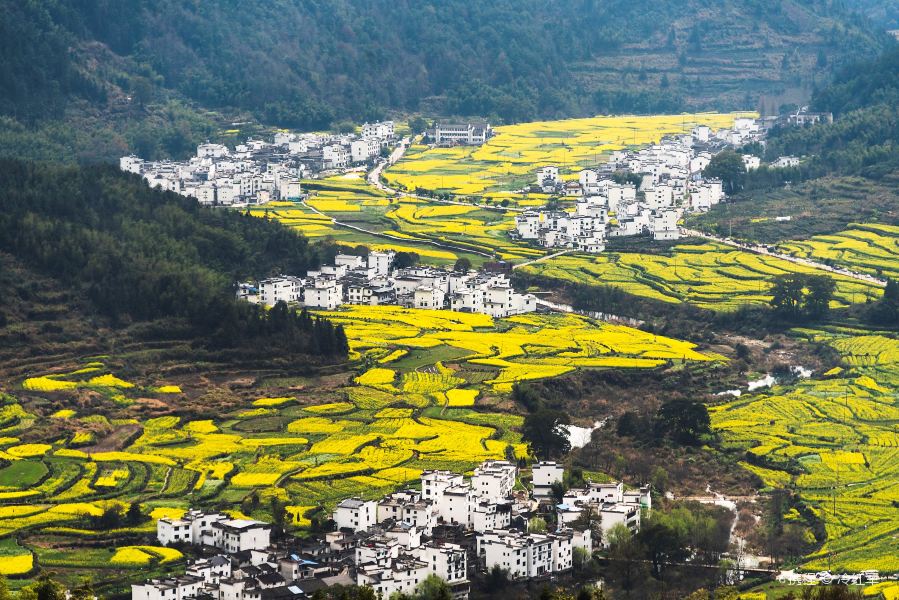 一座典型的徽派古村落坐落在油菜花田中央,青石板路穿过田野连接屋舍,几位身着汉服的游客正在花间拍照,远处孩童奔跑嬉戏,充满生机与诗意 婺源古村与油菜花相映成趣