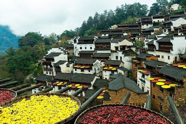 中景构图:世界文化遗产地篁岭古村,数十栋悬空晒楼依山而建,下方陡坡梯田铺展大片盛开油菜花,金黄花海与赭石色晒匾、灰瓦屋顶形成强烈色彩对比;画面左侧可见挑担农妇经过花间小径,右侧有游客倚栏俯拍,阳光斜射凸显纹理细节,展现活态传承的农耕人文景观 篁岭古村与山腰油菜花梯田交融场景