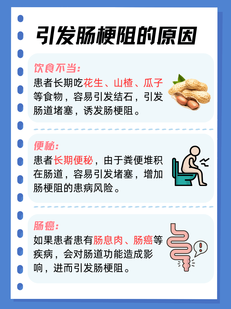 人体腹部横截面图,显示小肠和大肠结构,红色高亮区域标注肠梗阻发生部位,箭头指示肠内容物流动受阻的方向,旁边配有简要医学说明标签 肠梗阻解剖示意图