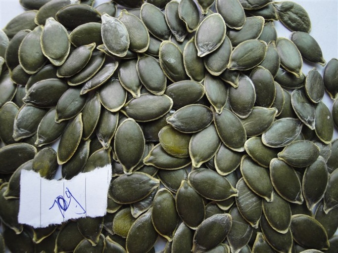 展示一排南瓜籽油软胶囊产品,包装精美,背景为现代化工厂或实验室环境 南瓜籽油软胶囊产品展示