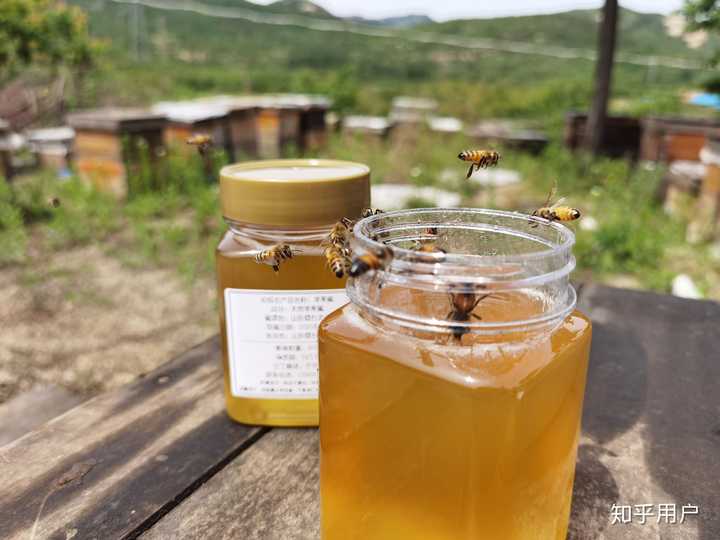 一名身穿白色防护服的养蜂人在蜂箱前操作,手中拿着蜂脾,周围飞舞着蜜蜂;背景为山区林地,阳光明媚,体现生态养蜂的真实场景 养蜂人采蜜现场