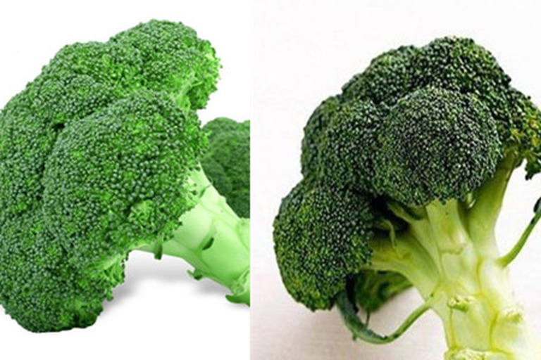 西兰花胡萝卜营养成分分布示意图,用于解释营养素在细胞中的分布与稳定性 显微镜下西兰花细胞结构与胡萝卜切片的营养成分分布模拟图,标注维生素C、β-胡萝卜素、膳食纤维位置