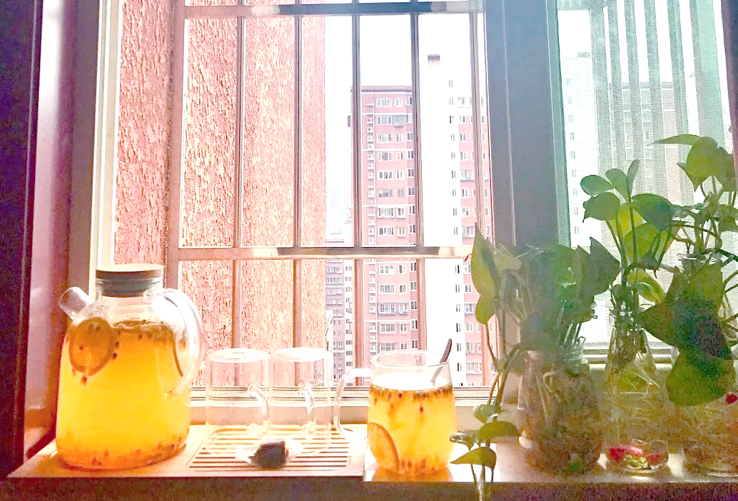 室内自然光环境下的饮茶场景:一位年轻女性坐在书桌前,手捧透明玻璃杯饮用金丝皇菊玫瑰花茶,窗外阳光洒入,桌面有笔记本电脑、绿植和打开的书籍,氛围宁静舒适 金丝皇菊玫瑰花茶饮用场景图