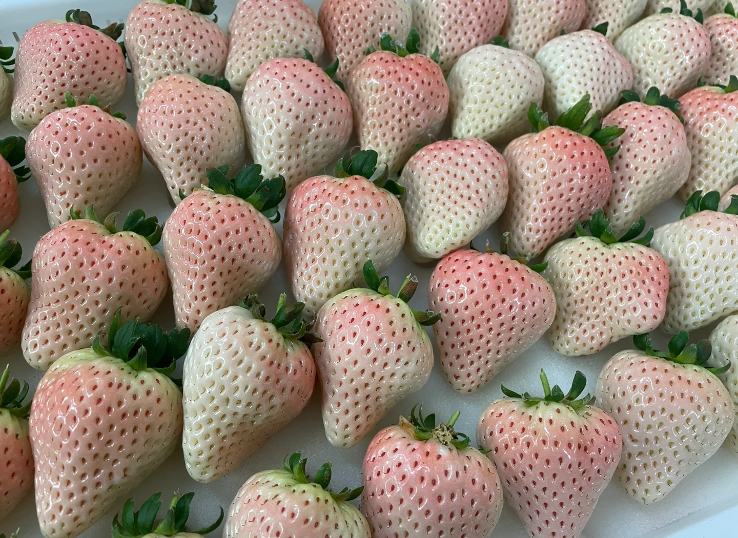 新鲜草莓切面展示内部结构与颜色