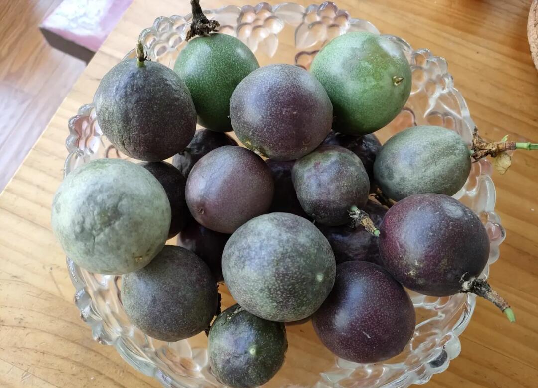 特写镜头拍摄一颗切开的深紫色百香果,果肉饱满呈凝胶状,黑色籽粒清晰可见,汁液微微反光,背景虚化,突出果实的新鲜与多汁感 切开的成熟百香果特写