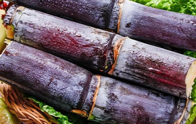 黑皮甘蔗的深紫色外皮和切面特写,展示其纤维结构与汁液丰富性 黑皮甘蔗特写