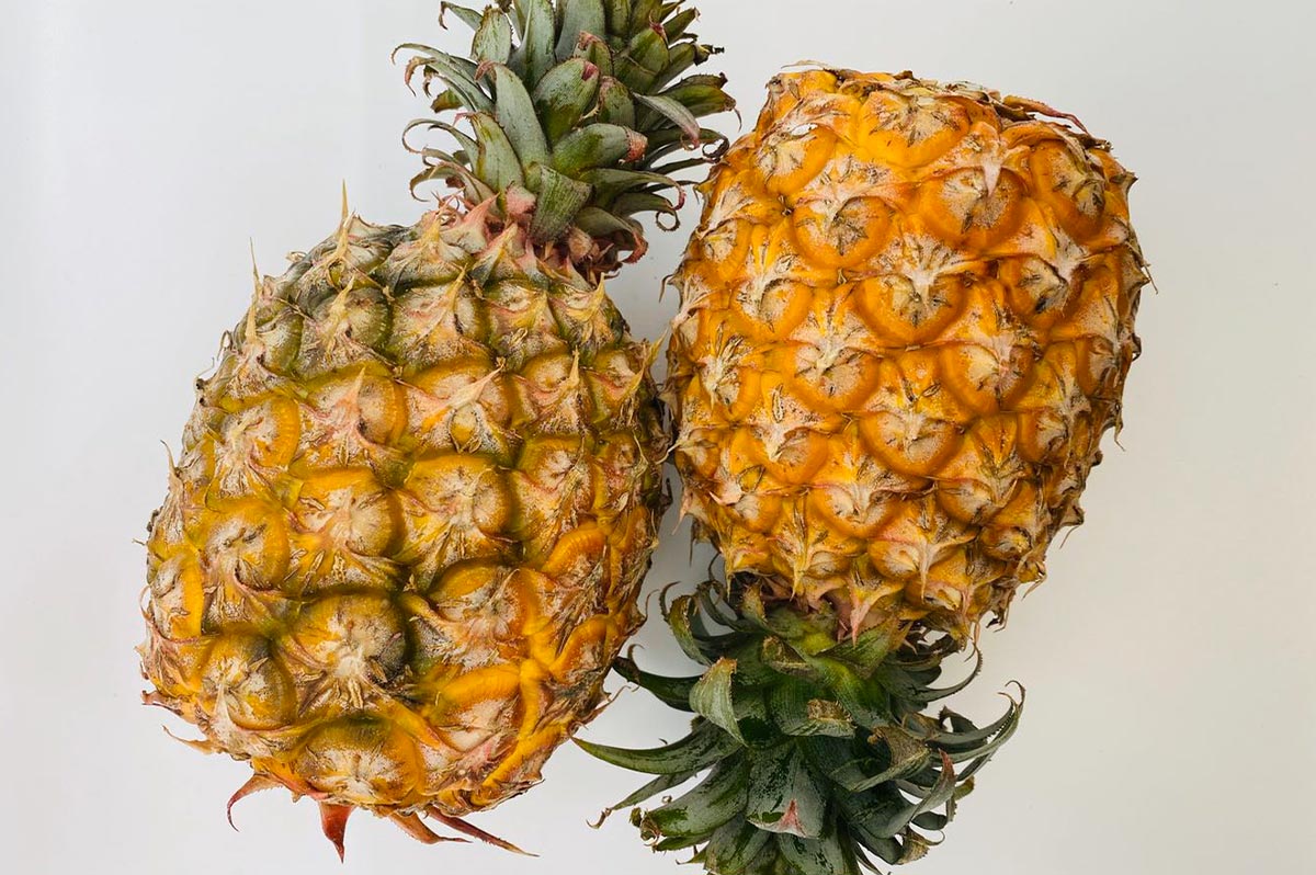 一个新鲜成熟的菠萝被横向切开,果肉呈金黄色,汁水丰富;旁边展示其绿色茎部结构特写,突出显示可用于提取菠萝蛋白酶的部位。背景为热带果园环境,强调农产品来源的真实性 菠萝横切与茎部特写