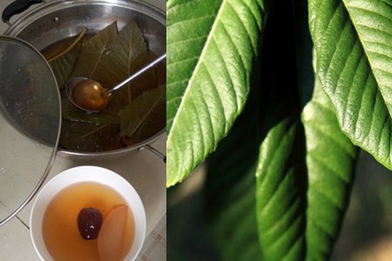 侧柏叶在中药煎煮中的使用