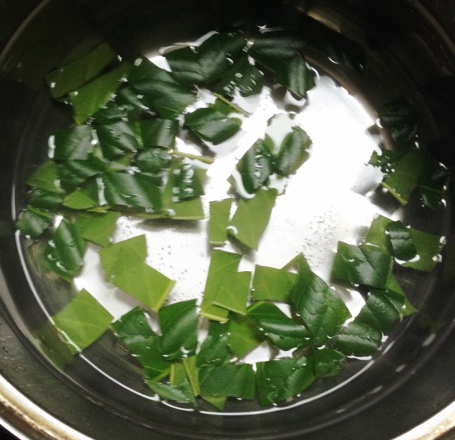 侧柏煮水过程图