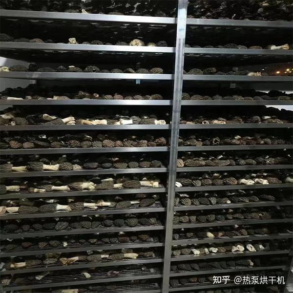 手工晾晒与机械烘干场景对比