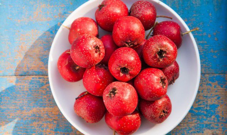 山楂加工产品展示