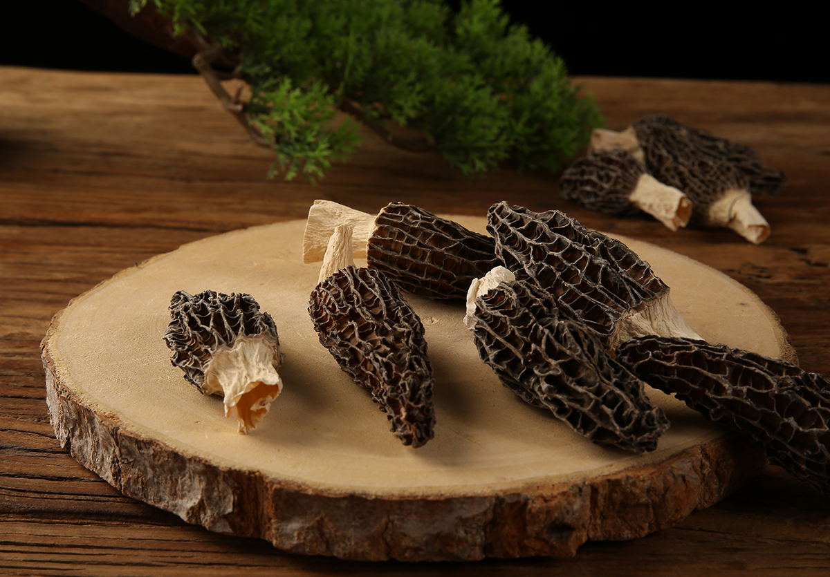 羊肚菌特写照片