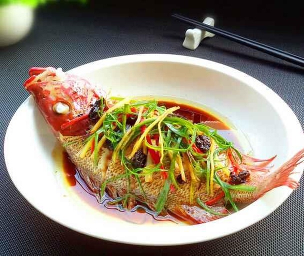 大菱鲆活体特写