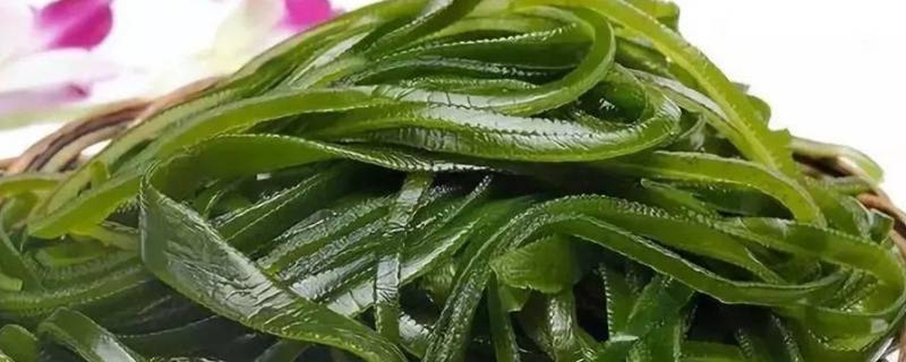 海带实物与营养成分表对比图