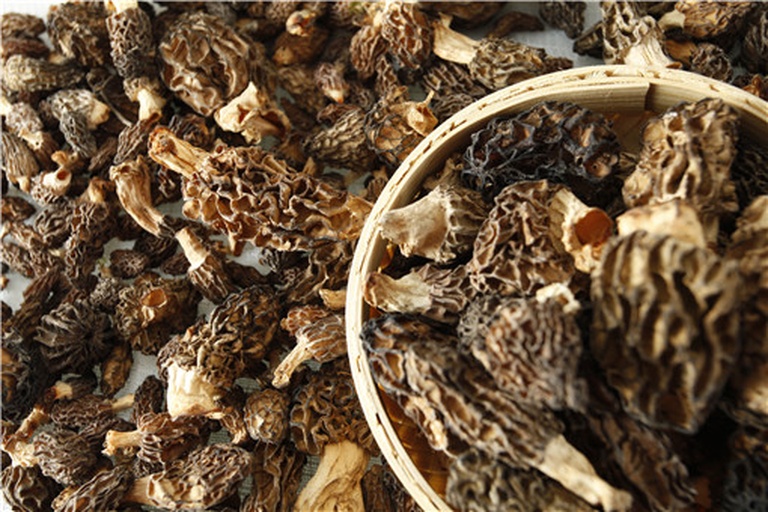 厨房场景中,左侧为浸泡中的大型梯棱羊肚菌(浅褐色、完整),右侧为煎制中的小型尖顶羊肚菌(深褐色、切片),锅中散发蒸汽,旁边摆放大蒜、黄油、迷迭香等配料,体现不同尺寸羊肚菌在西式料理中的应用方式 新鲜羊肚菌烹饪应用场景图