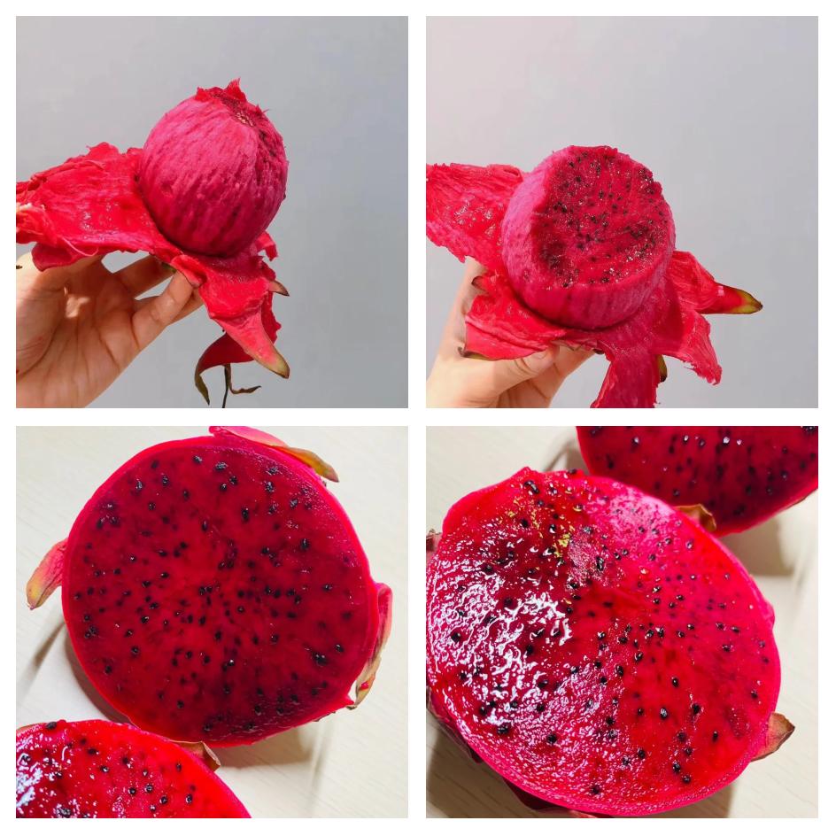 火龙果切开后的内部结构图