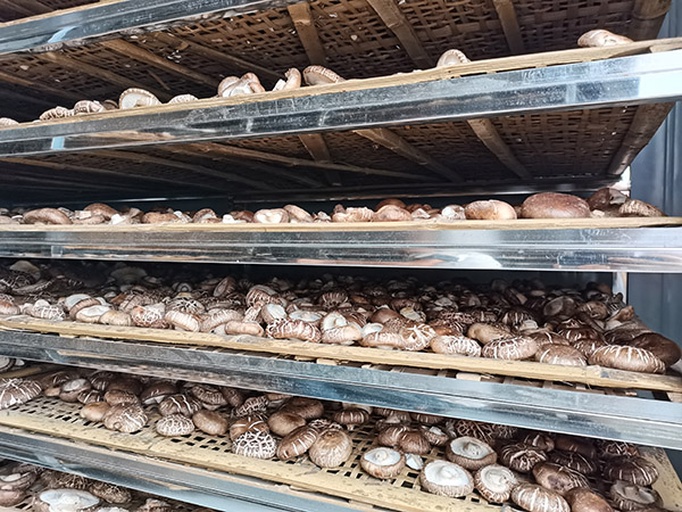 香菇晾晒架布置示意图