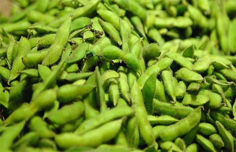 新鲜毛豆实物特写图:展示带绒毛青绿豆荚、饱满豆粒及传统蒸煮器具,强调其作为当季鲜食农产品的天然本真状态 新鲜毛豆特写:青绿色饱满豆荚,表面覆有细密绒毛,部分豆荚已剥开露出三粒翠绿圆润豆粒,背景为竹制蒸笼与粗陶碗,体现原生态农产品属性