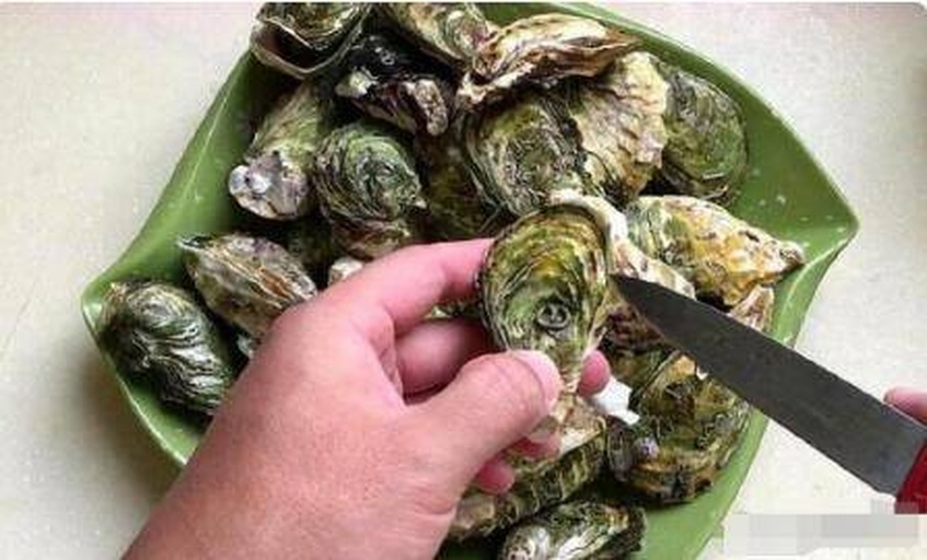 一位厨师佩戴防割手套,正在用生蚝刀从铰链处撬开一只新鲜生蚝,桌面上摆放着清水浸泡过的生蚝,背景为厨房操作台,光线明亮,突出食材的新鲜与操作的安全性 生蚝清洗与开壳过程特写