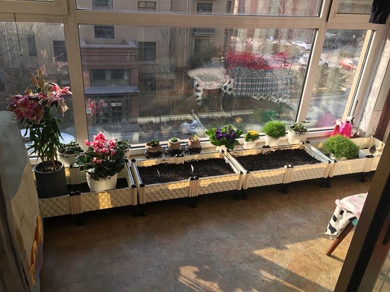 一个城市住宅阳台上的多肉养护区,桃蛋盆栽置于多层金属架上,上方覆盖浅灰色遮阳网,旁边配有小型落地风扇正在运行,地面铺设防滑垫,展示实际家庭环境中如何实现通风降温 桃蛋夏季养护场景:阳台遮阳网与通风设置
