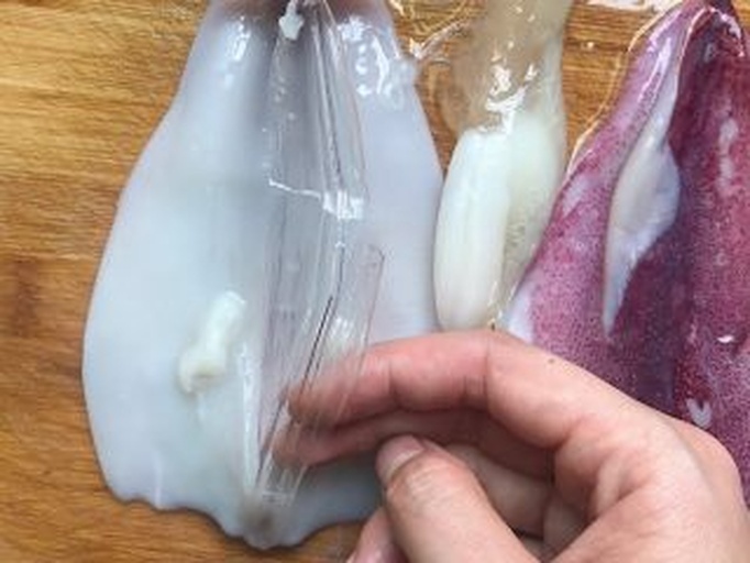新鲜鱿鱼处理过程