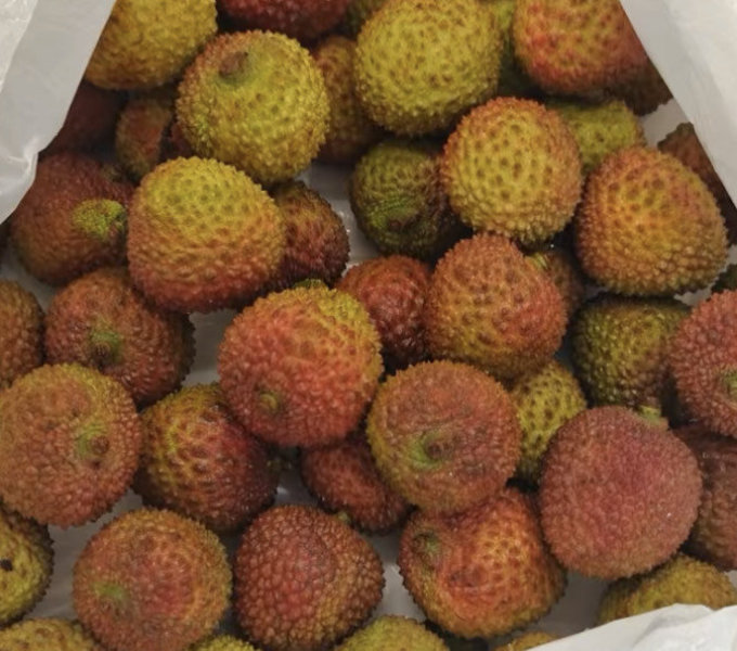 新鲜与变质荔枝对比