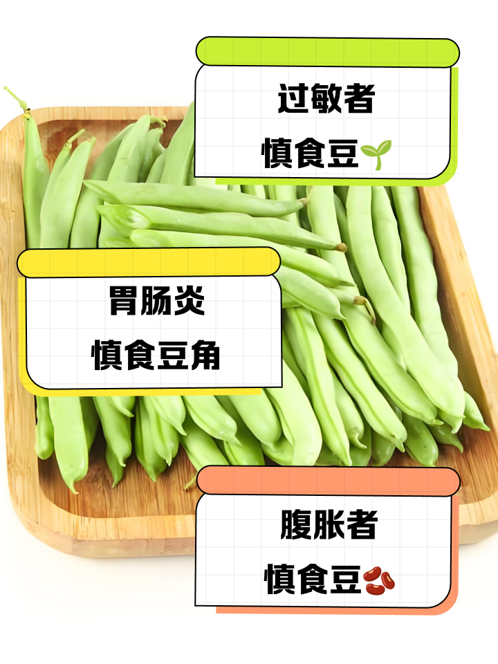 图示:左侧为健康婴幼儿消化道结构(胃酸pH>4.5、肠酶活性低),右侧为四季豆凝集素(红色Y形分子)黏附小肠绒毛上皮细胞(显微示意),导致细胞脱落与通透性增高;背景标注'WHO禁用建议:<36月龄' 婴幼儿进食四季豆风险示意图