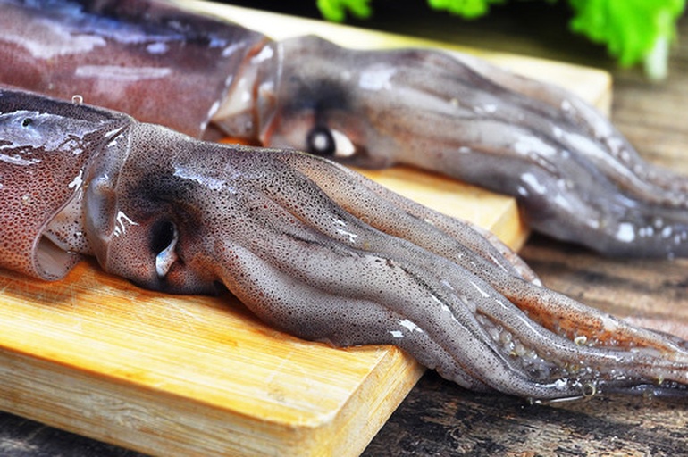 厨房中处理新鲜小管鱿的过程