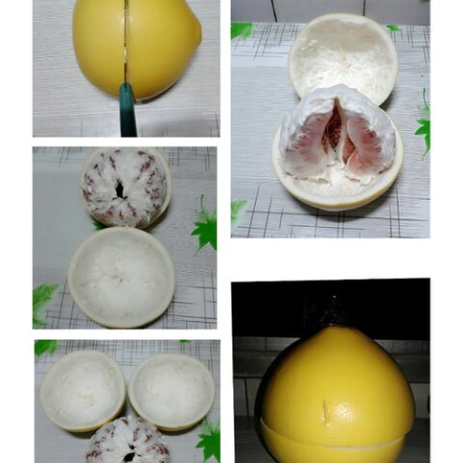 柚子皮三步处理特写：左侧为完整柚皮，中为削去白络的金黄油胞层，右为盐搓后冰漂沥干的柔韧黄皮条