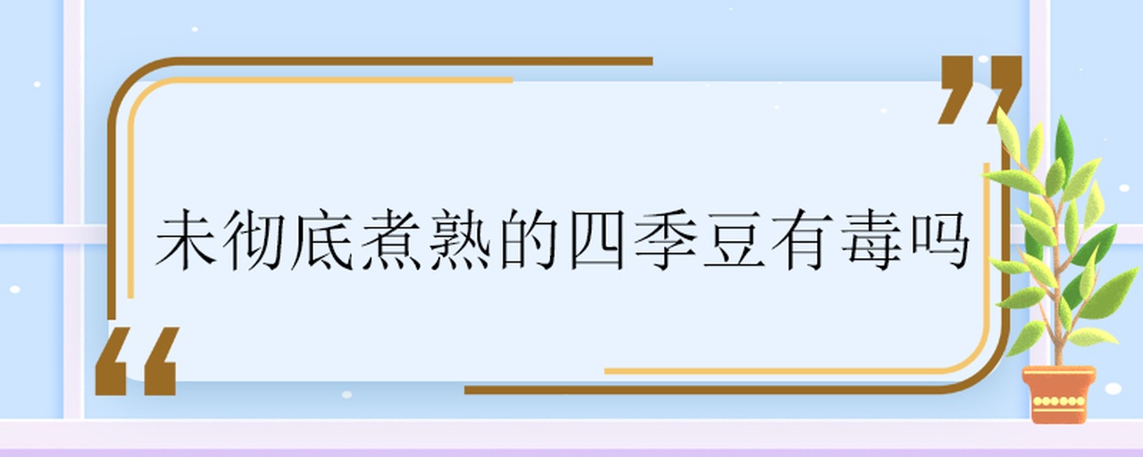 生鲜四季豆(左)含高浓度植物血球凝集素,表皮蜡质层完整;经充分加热后的熟四季豆(右)细胞壁破裂、色泽变暗、质地软塌,毒素已完全降解 四季豆生豆与熟豆对比特写:左侧为青翠带白霜的生鲜四季豆豆荚,表面可见细微蜡质层;右侧为深绿色软化状熟四季豆,豆荚褶皱明显,无光泽,呈现均匀熟化状态