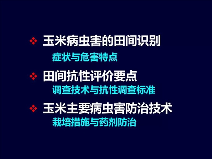 图片说明:技术人员在田间识别玉米病害,指导农户进行科学防治 玉米病虫害识别与防治