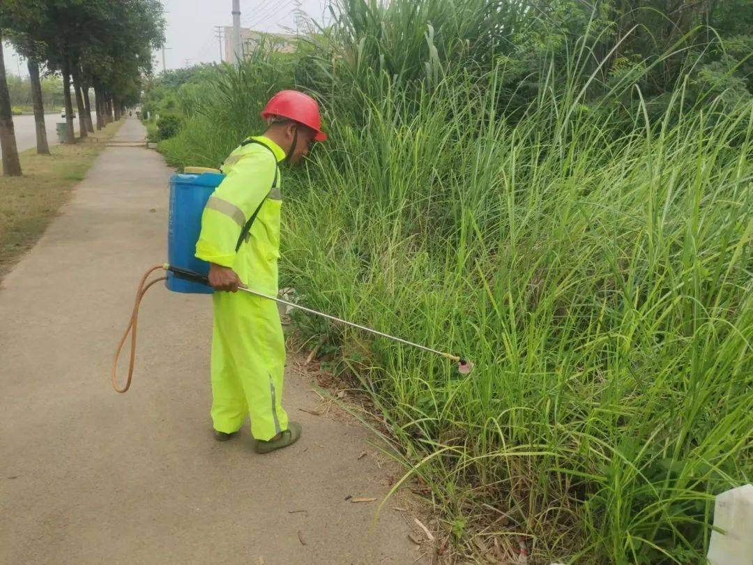 非耕地除草剂应用场景