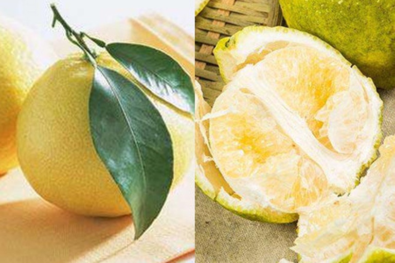 柚子果肉与果皮结构图