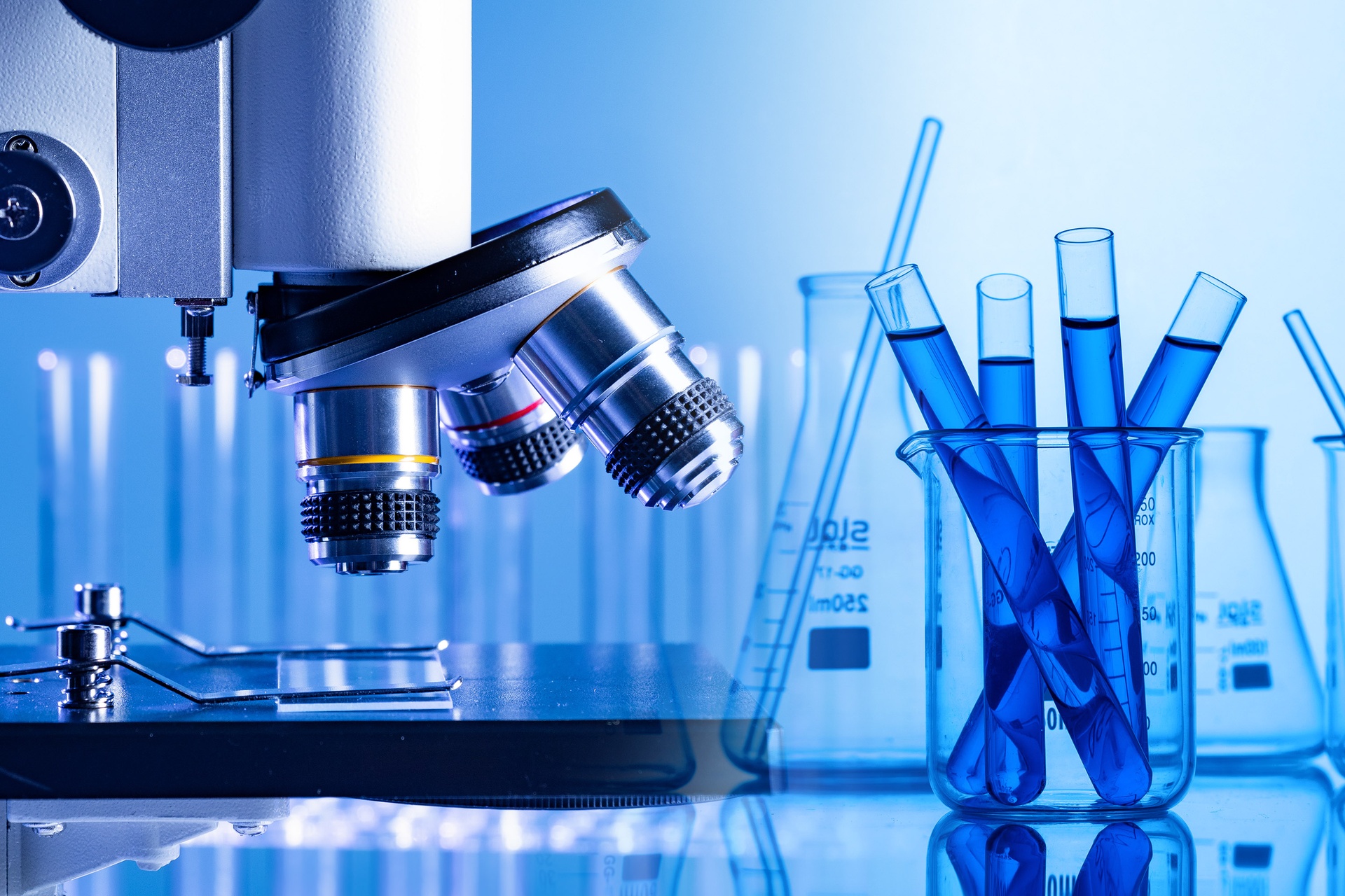 一位女性手持放大镜观察当归切片与芹菜茎部横截面的插画风格图像