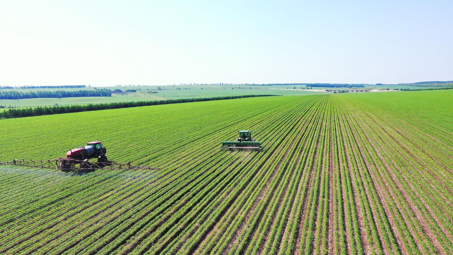 旱直播稻田土壤整地与喷药准备