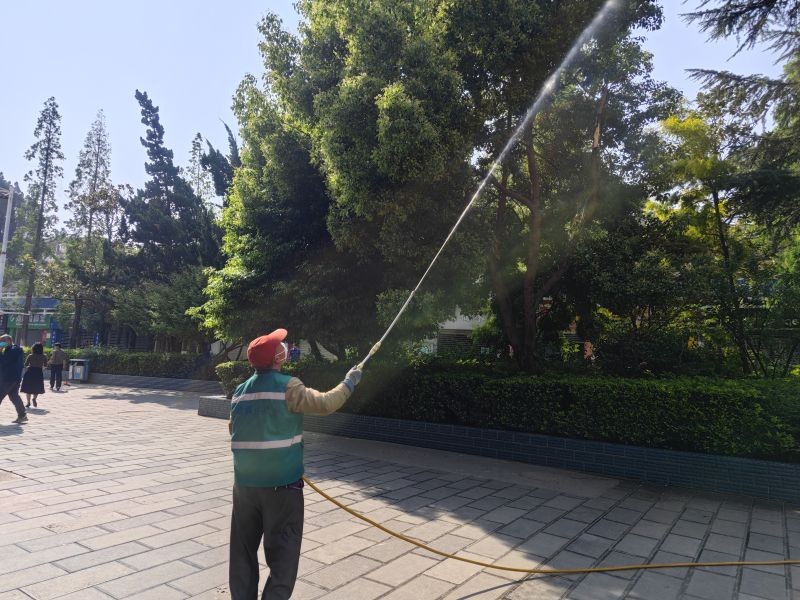 一名园林技术人员正在使用注射器将药液注入侧柏树干上的蛀孔,旁边放置有药剂瓶、泥封材料和防护装备,背景为正在进行喷雾作业的同伴,展示标准化虫害处置流程 侧柏小蠹化学防治操作示意图