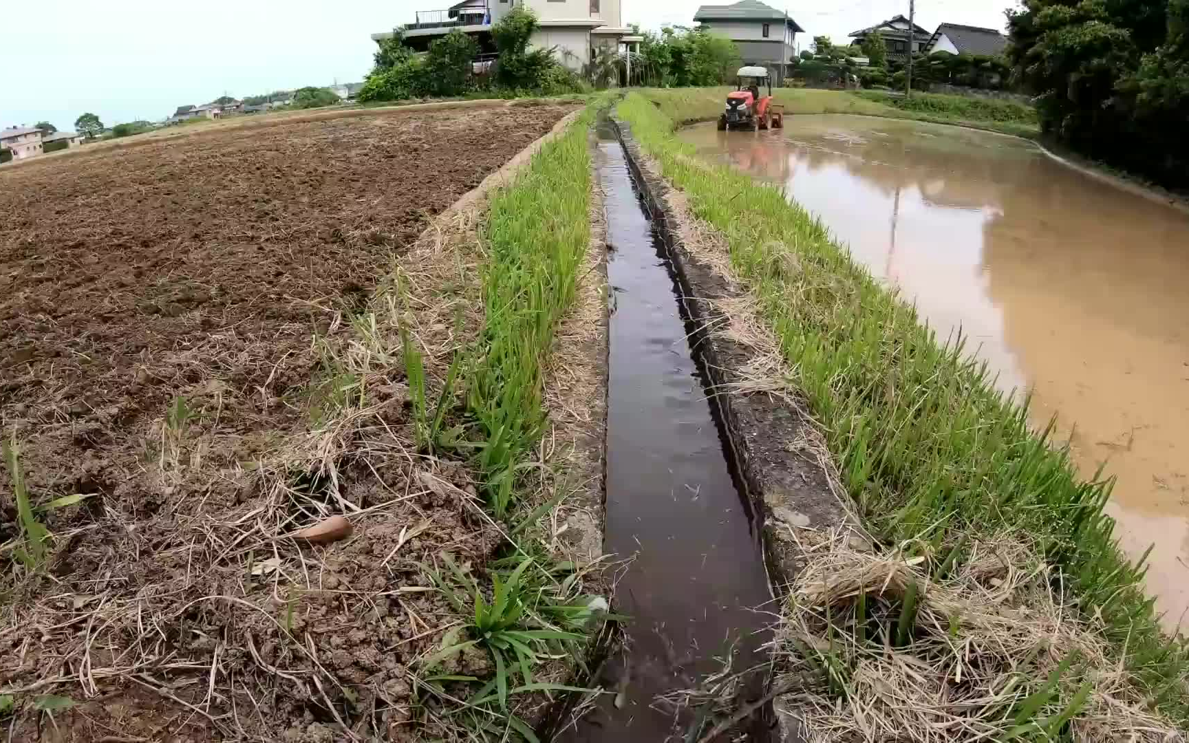 图示为典型的南方油稻轮作田块,上方为收割后的水稻 stubble 土地正在翻耕准备播种油菜,下方为已出苗的油菜田,田埂清晰划分轮作边界,配有灌溉沟渠系统 油稻轮作田间布局示意图