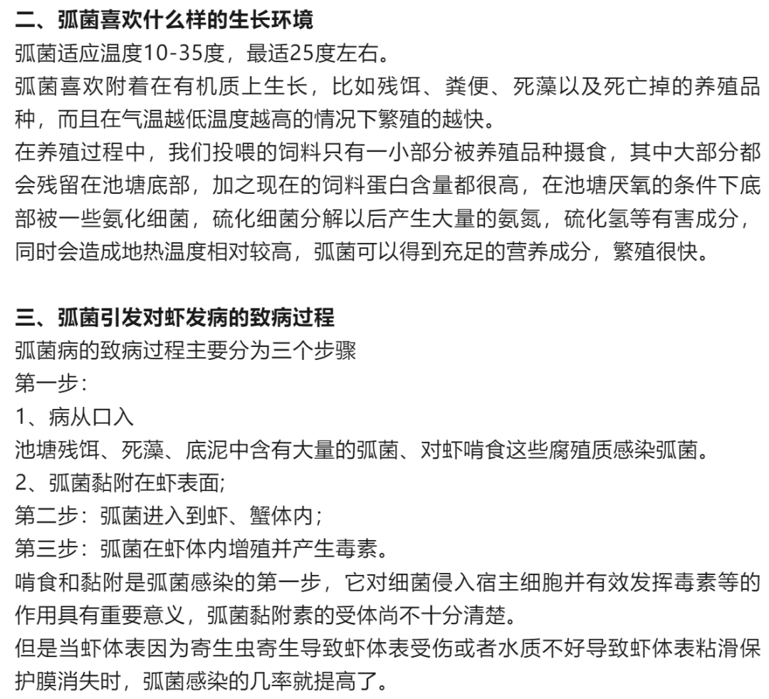 显微镜下弧菌形态图