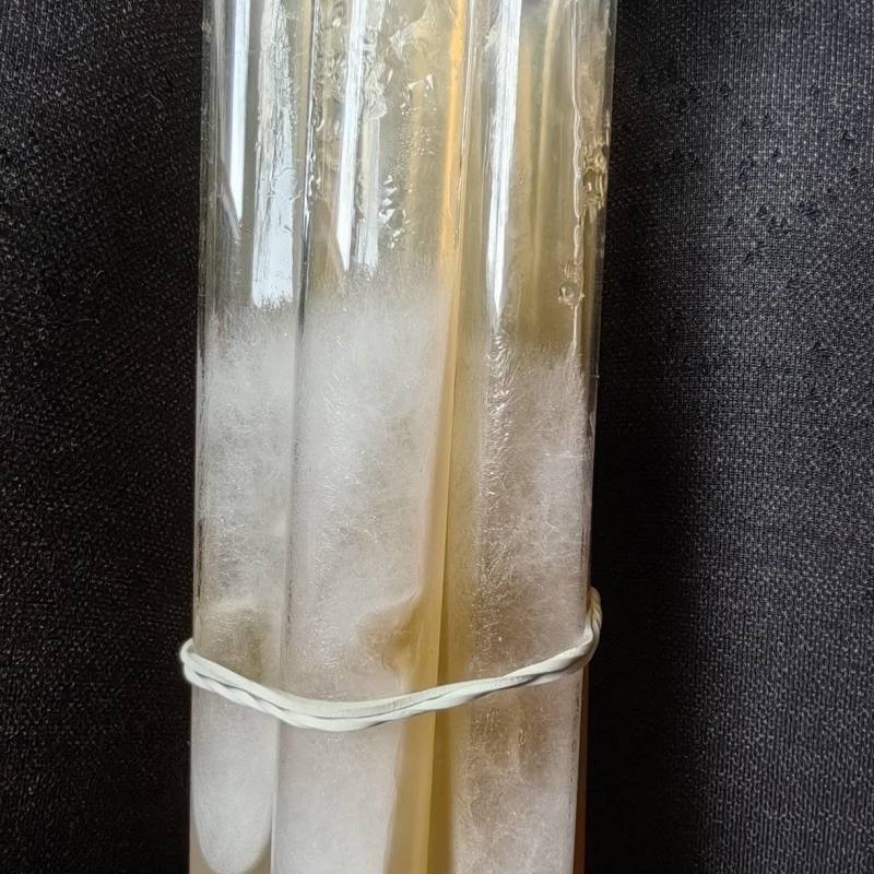 实验室研究人员正在检测生姜提取物对尿酸酶的影响