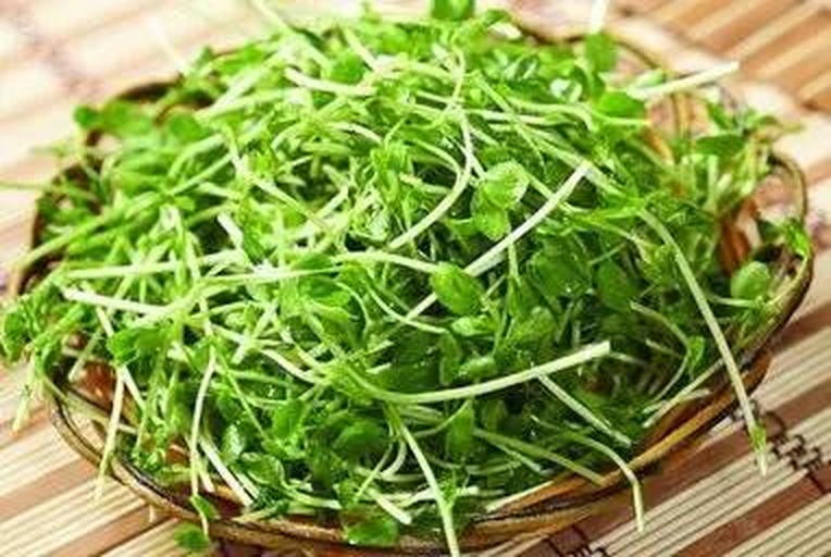 市售豌豆苗与豌豆尖的商品包装对比